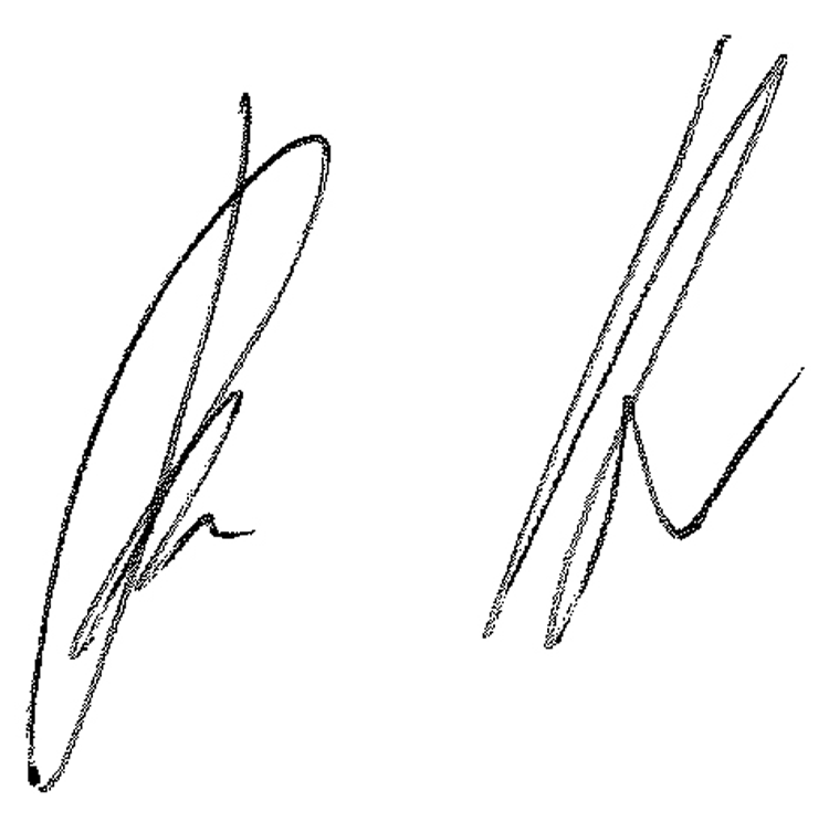 signature of Patrick Huber